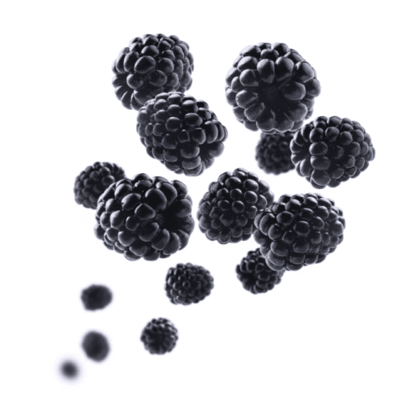 BLACK BERRY - Image 6