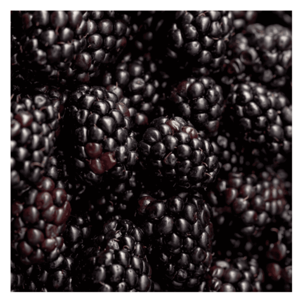 BLACK BERRY - Image 2