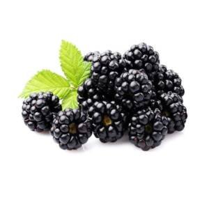 BLACK BERRY