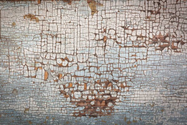 Wood Panel